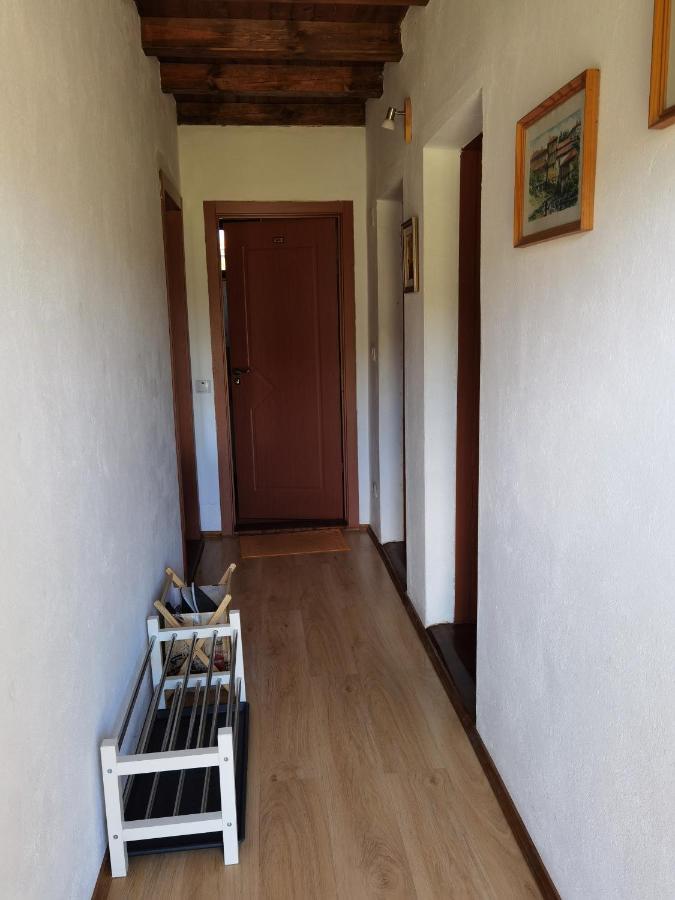Guest House Yana Turkasheni Экстерьер фото