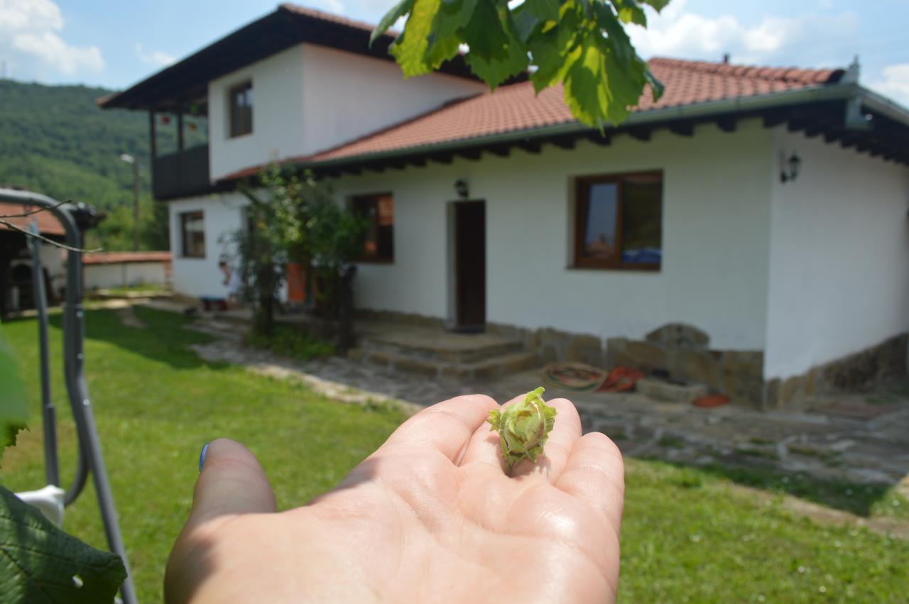 Guest House Yana Turkasheni Экстерьер фото