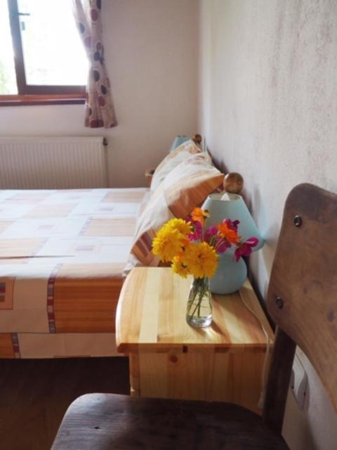 Guest House Yana Turkasheni Экстерьер фото