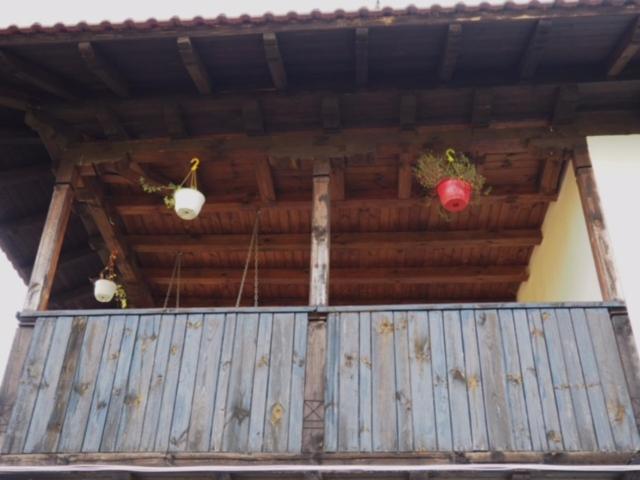 Guest House Yana Turkasheni Экстерьер фото