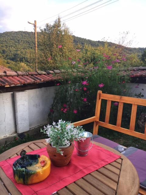Guest House Yana Turkasheni Экстерьер фото